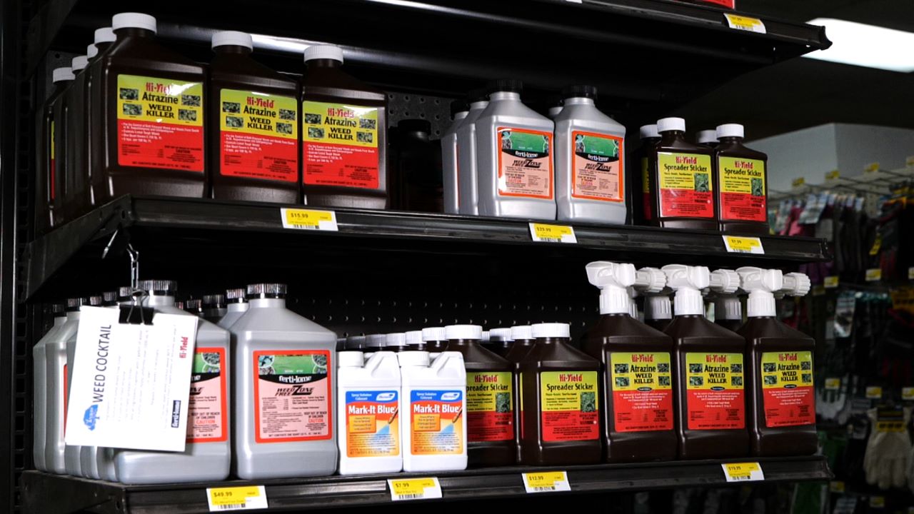 Get It Growing: Here’s how to kill winter weeds